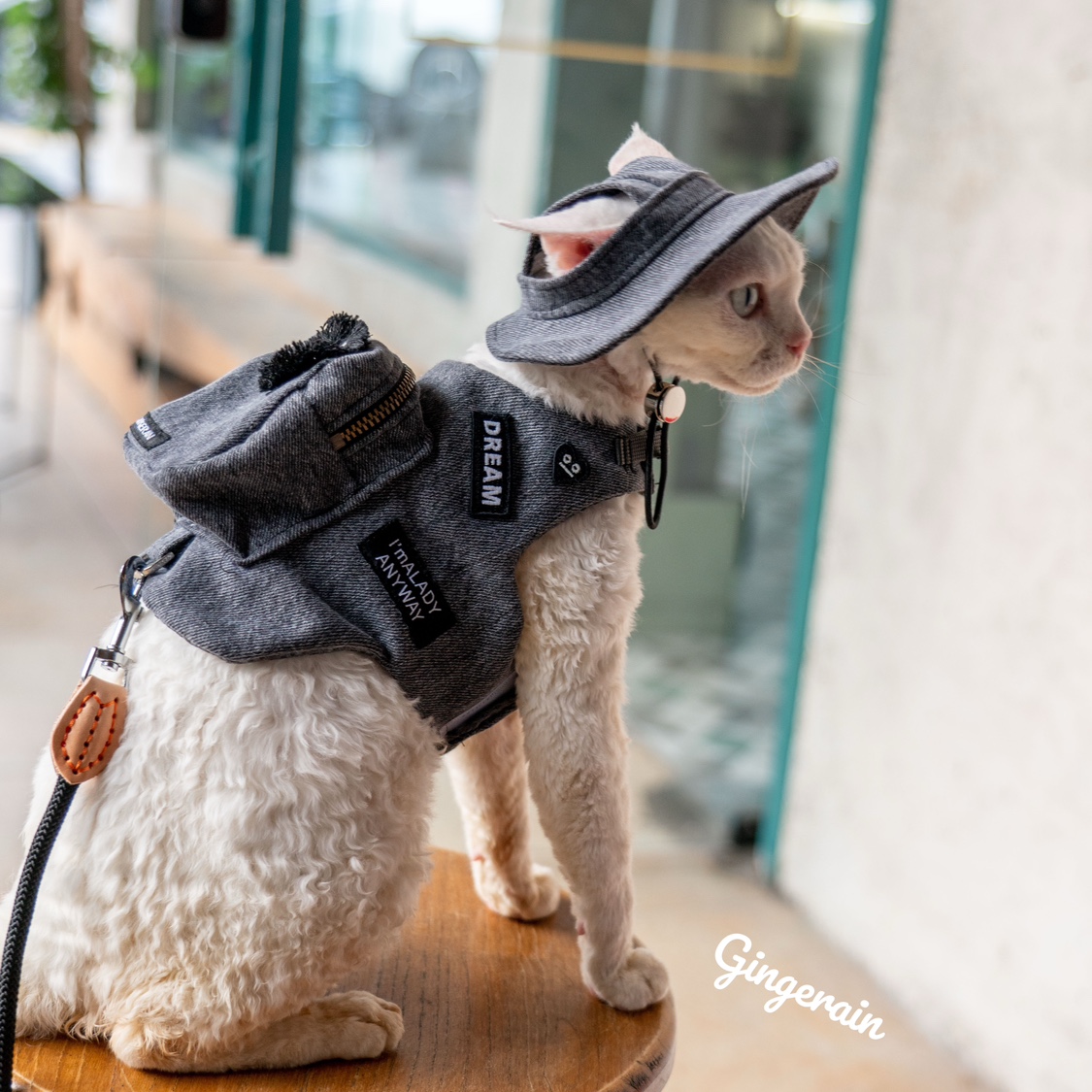 Luxury Bags Cute - Handmade Luxury Travel Cat Carrier Snack