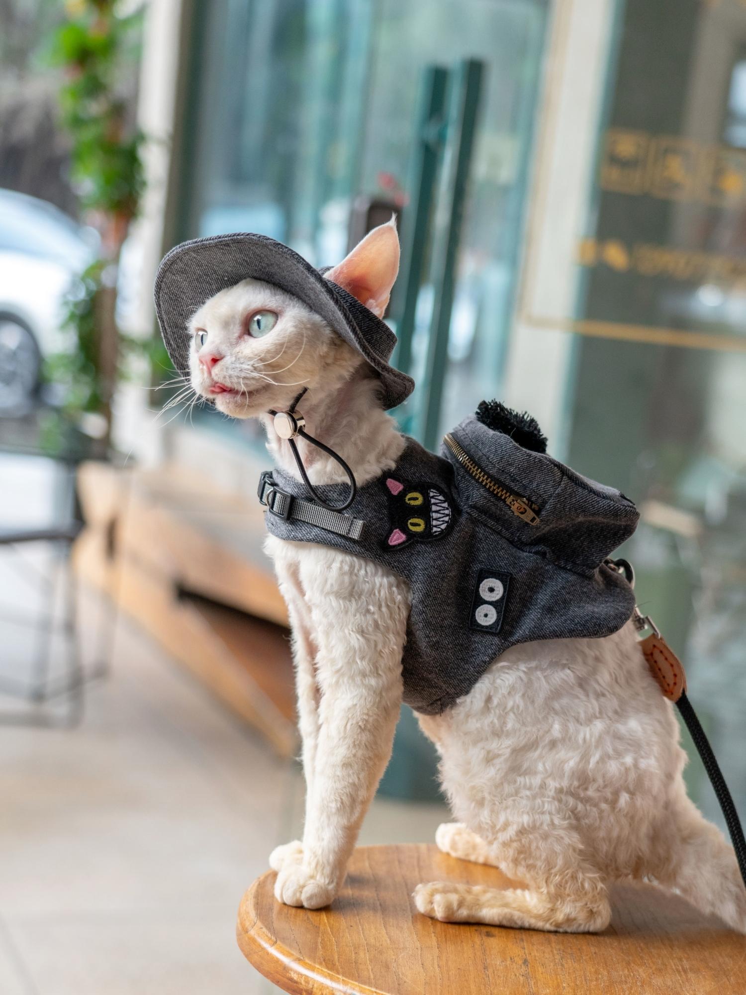 Handmade Luxury Travel Cat Car - огляд і ціна Luxury Bags Cute