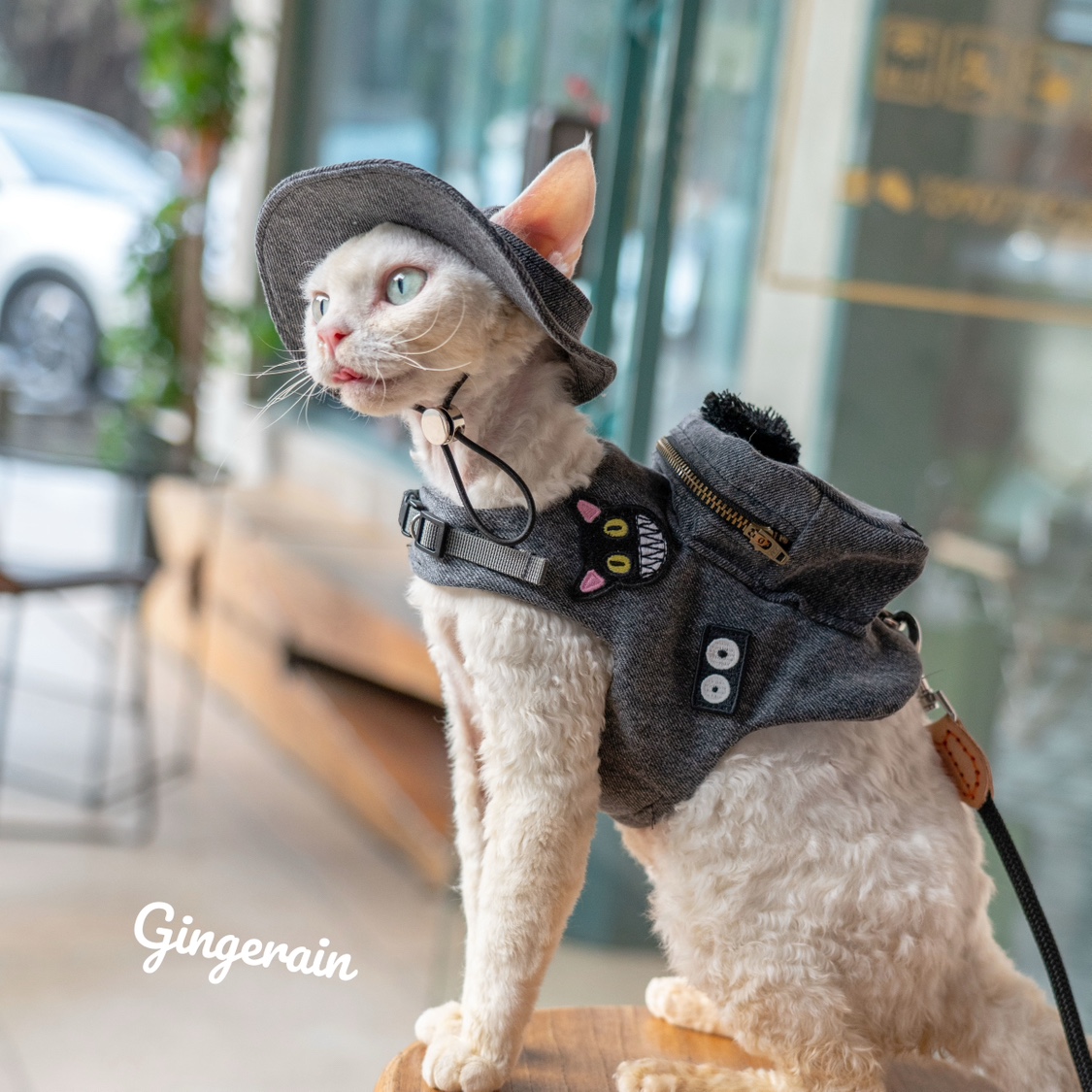 Handmade Luxury Travel Cat Car - огляд і ціна Luxury Bags Cute