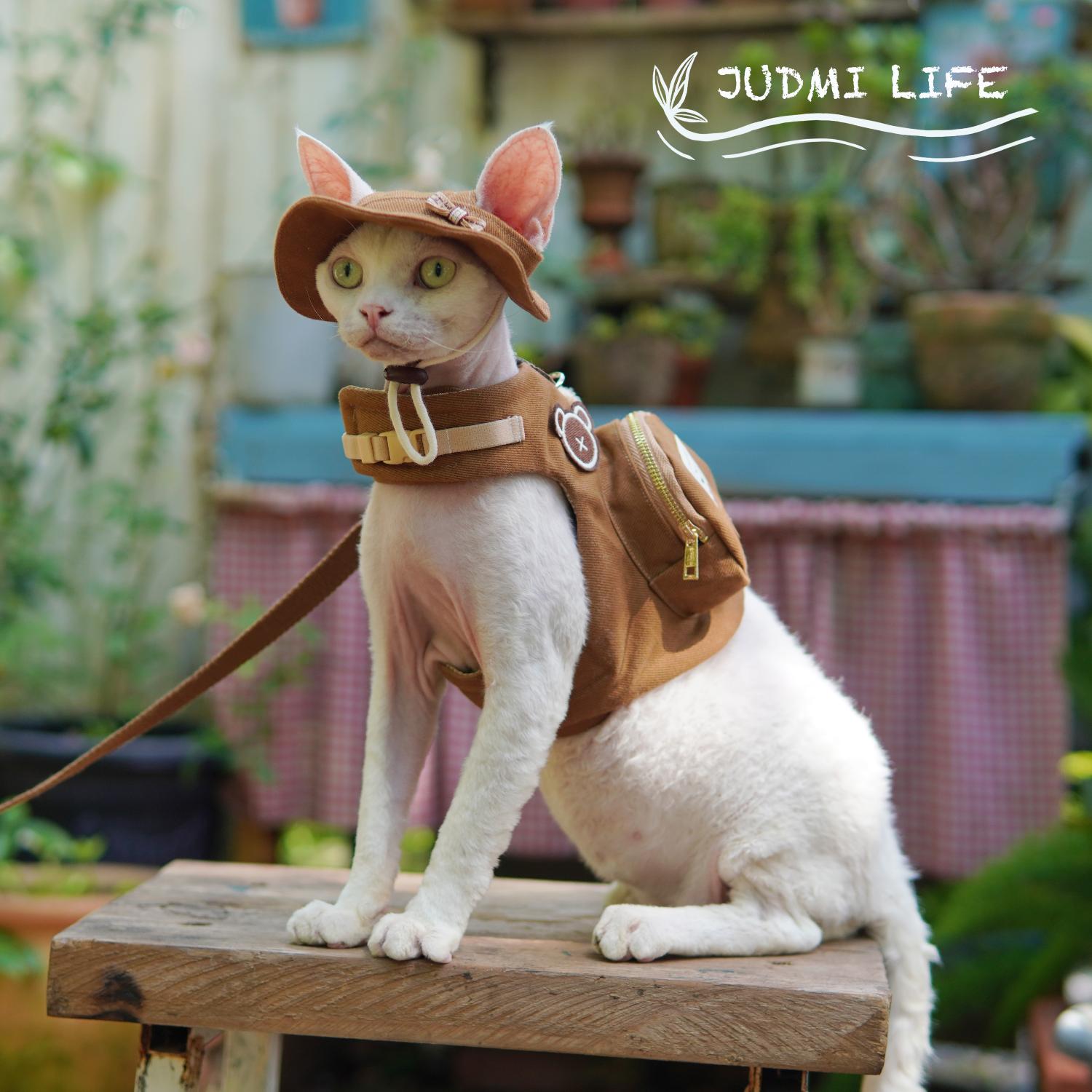 Luxury Travel Devon Cat Carrie - огляд і ціна Luxury Bags Cute